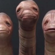 cuckman231