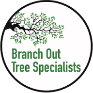 branchouttreespecialistsn
