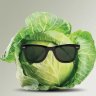 The_Cabbag3