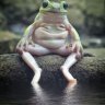 bojwolb