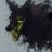 Skywar122