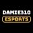 Damie310