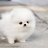 Fluffy_TM