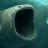 Sex Whale 7XVAED